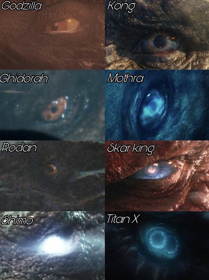 Godzilla Kong Ghidorah Mothra Rodan Skar king Titan X Shimo Q