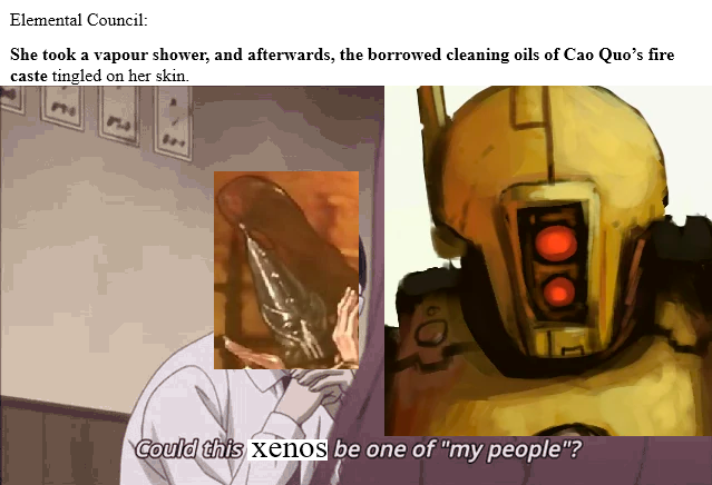Elemental Council: She took a vapour shower, and afterwards, the borrowed cleaning oils of Cao Quo's fire caste tingled on her skin. Could this xenos be one of "my people"?