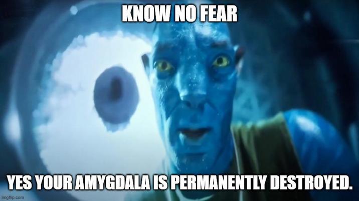 KNOW NO FEAR YES YOUR AMYGDALA IS PERMANENTLY DESTROYED. imgflip.com