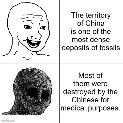 imgflip.com The territory of China is one of the most dense deposits of fossils Most of them were destroyed by the Chinese for medical purposes.