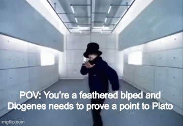 POV: You're a feathered biped and Diogenes needs to prove a point to Plato imgflip.com