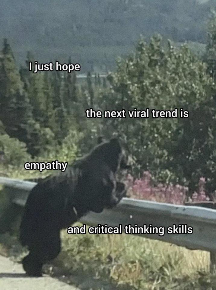 I just hope empathy the next viral trend is and critical thinking skills
