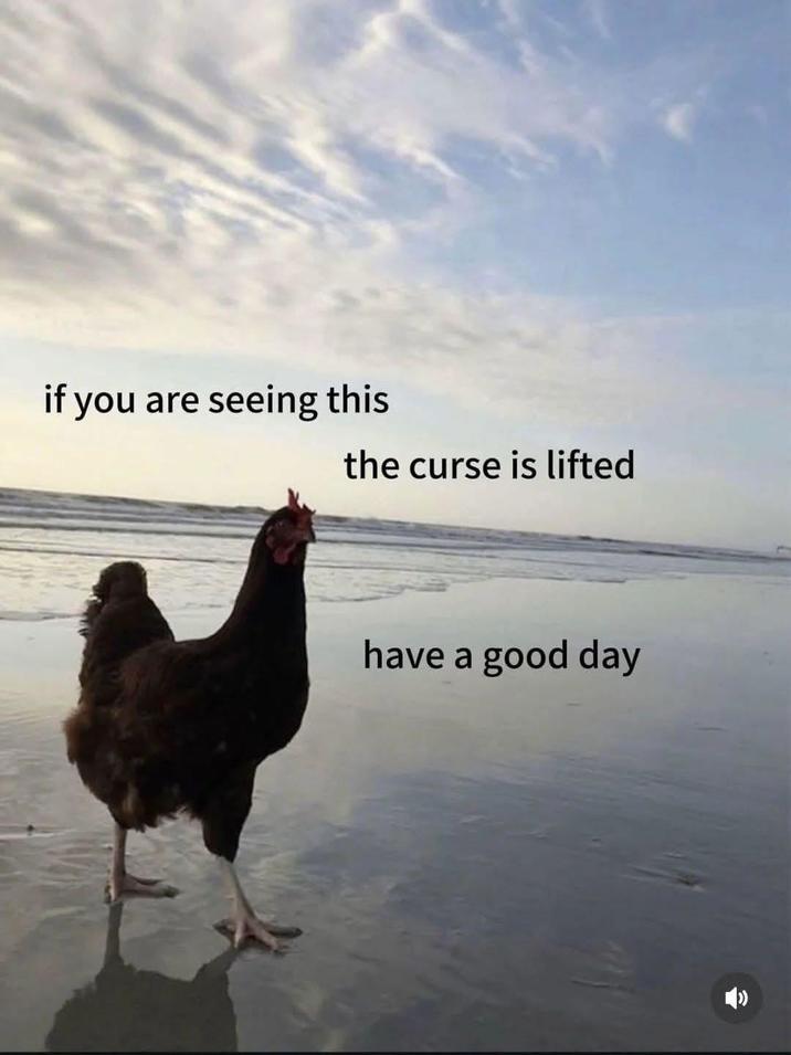 if you are seeing this the curse is lifted have a good day