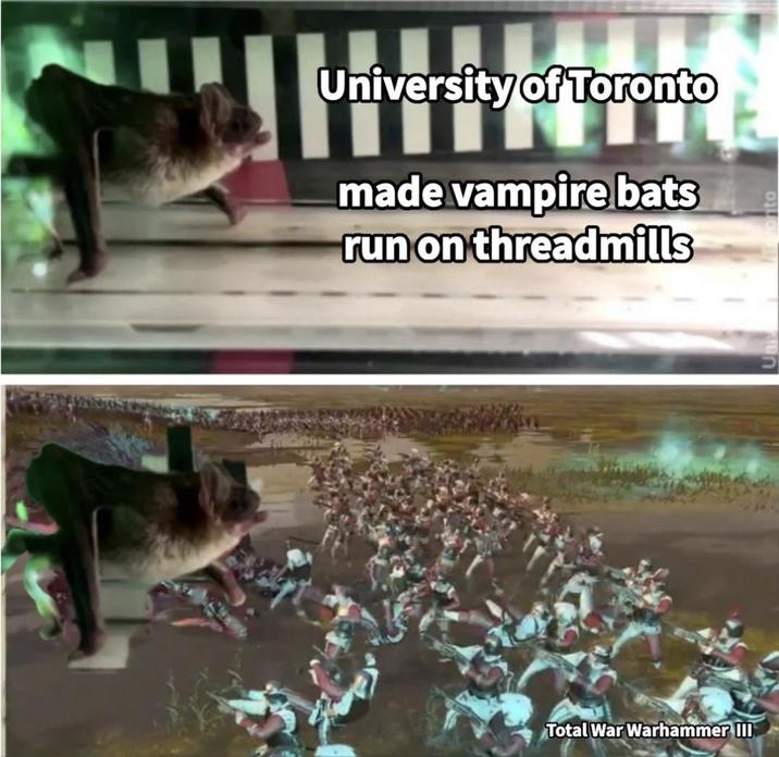 University of Toronto versityofro made vampire bats run on threadmills Total War Warhammer III