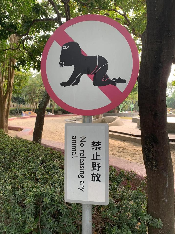 禁止野放 d No releasing any animal.