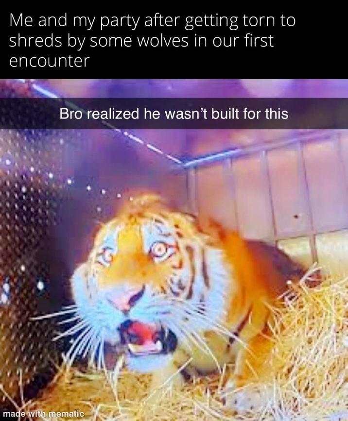 Me and my party after getting torn to shreds by some wolves in our first encounter Bro realized he wasn't built for this made with mematic