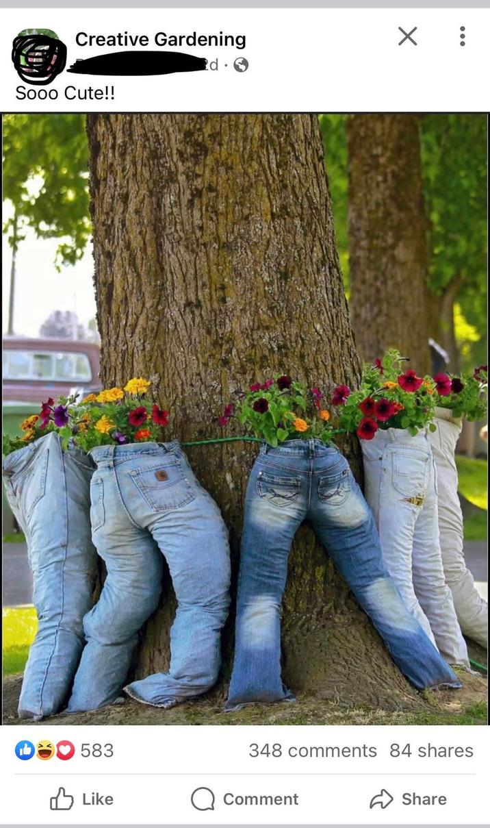Creative Gardening Sooo Cute!! D❤583 X : d. 348 comments 84 shares Like Comment Share