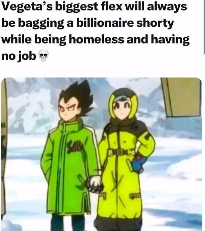 Vegeta's biggest flex will always be bagging a billionaire shorty while being homeless and having no job BOL