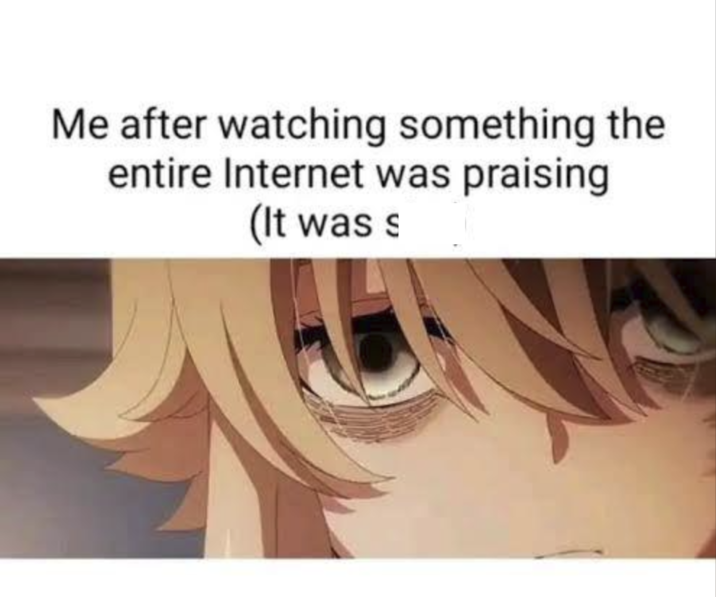 Me after watching something the entire Internet was praising (It was s