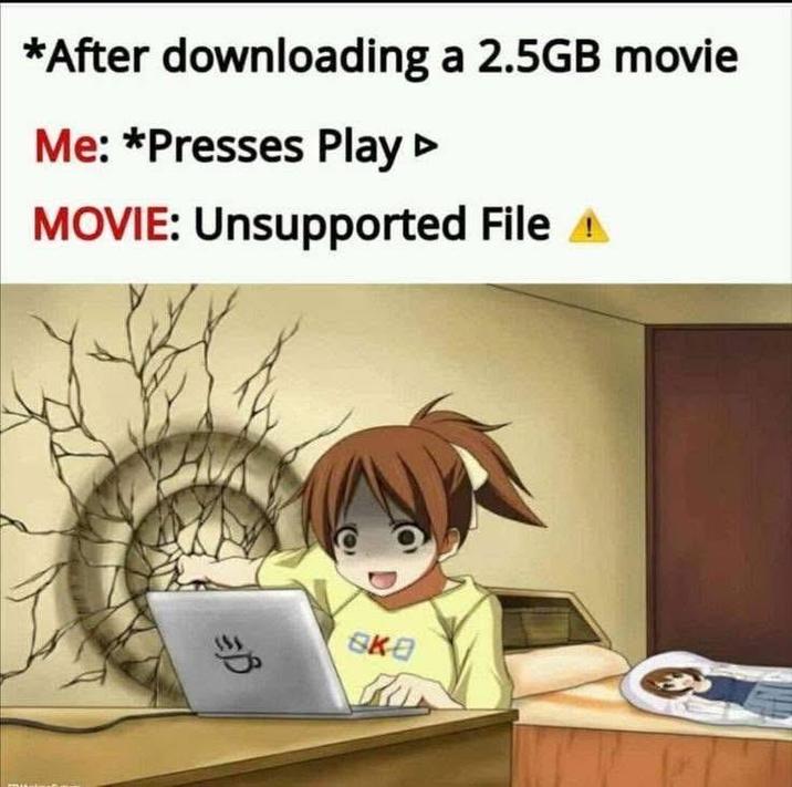 *After downloading a 2.5GB movie Me: *Presses Play MOVIE: Unsupported File B SKO