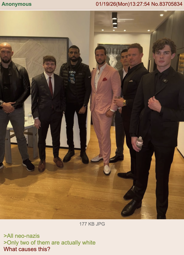 Anonymous 5644 3 HH 01/19/26(Mon)13:27:54 No.83705834 177 KB JPG >All neo-nazis >Only two of them are actually white What causes this?