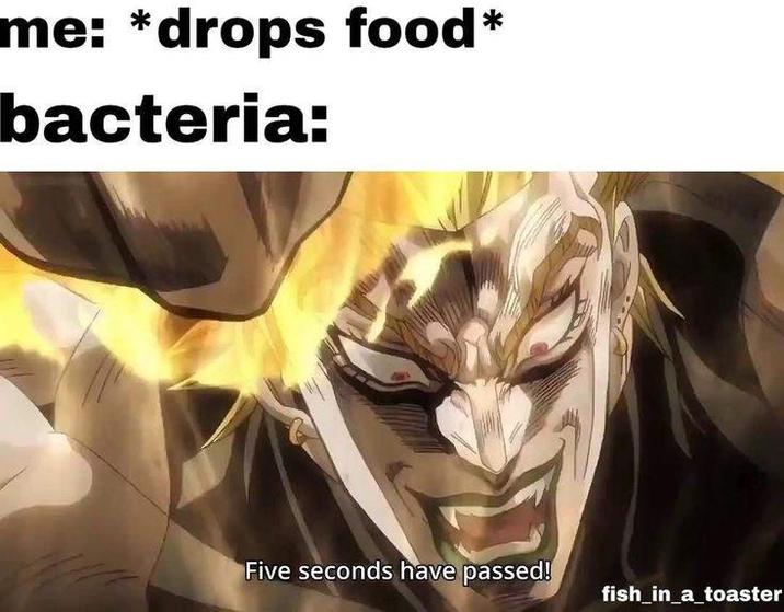 me: *drops food* bacteria: Five seconds have passed! fish_in_a_toaster