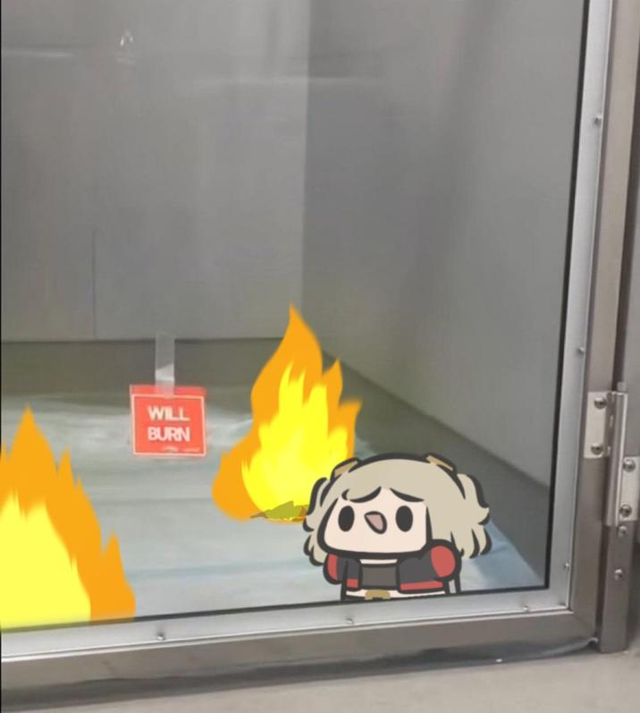 WILL BURN