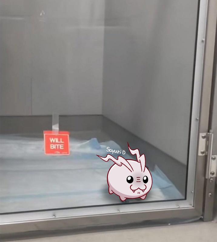 WILL BITE Sayuri D 川