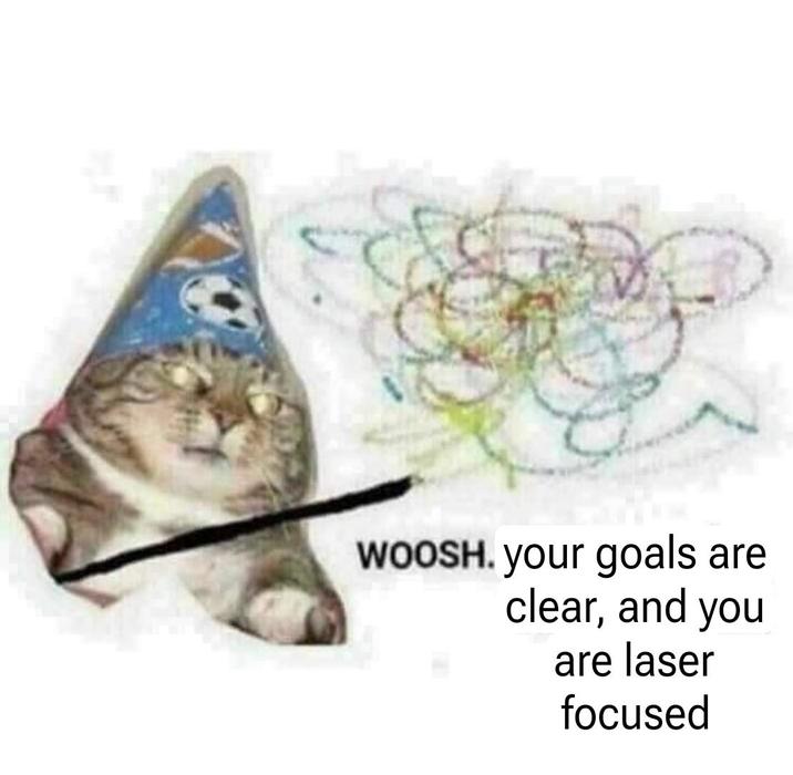 WOOSH. your goals are clear, and you are laser focused