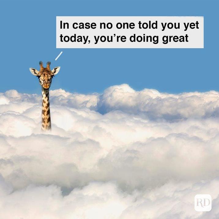 In case no one told you yet today, you're doing great RD
