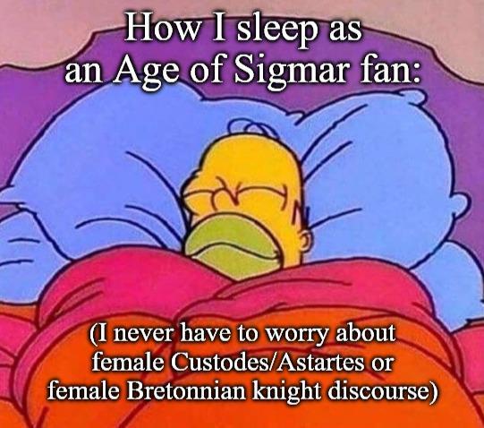 How I sleep as an Age of Sigmar fan: (I never have to worry about female Custodes/Astartes or female Bretonnian knight discourse)
