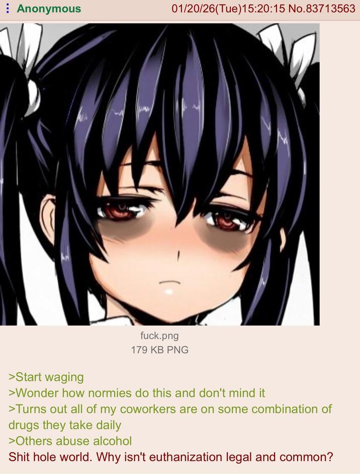 Anonymous 01/20/26(Tue)15:20:15 No.83713563 f---.png 179 KB PNG >Start waging >Wonder how normies do this and don't mind it >Turns out all of my coworkers are on some combination of drugs they take daily >Others abuse alcohol S--- hole world. Why isn't euthanization legal and common?