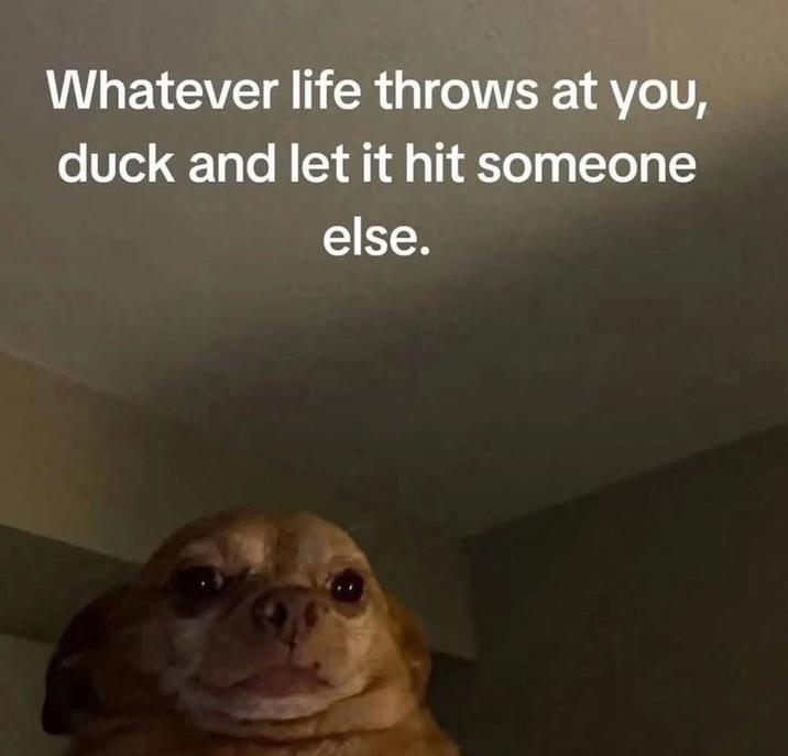 Whatever life throws at you, duck and let it hit someone else.
