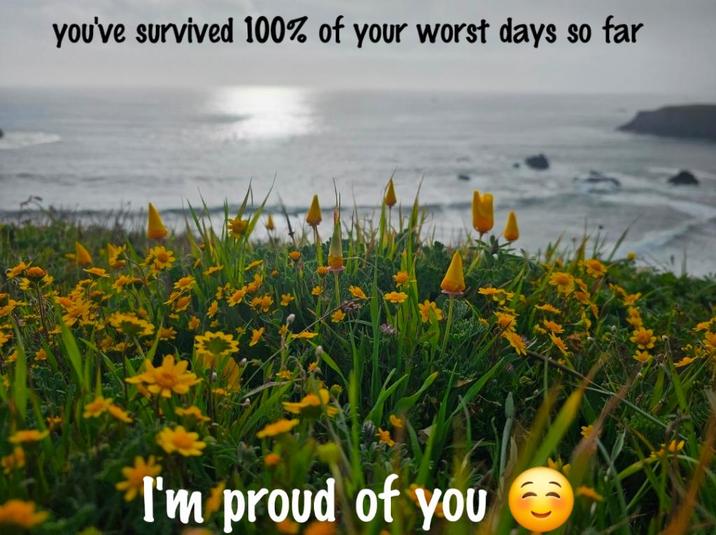 you've survived 100% of your worst days so far I'm proud of you