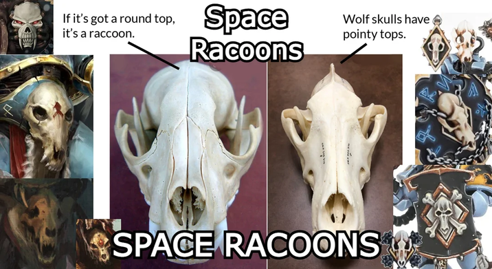 If it's got a round top, it's a raccoon. Space Racoons Wolf skulls have pointy tops. SPACE RACOONS