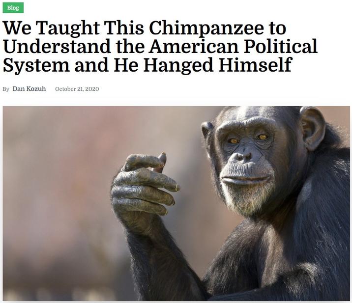 An article by The Hard Times satire website. It is titled, "We Taught This Chimpanzee to Understand the American Political System and He Hanged Himself."