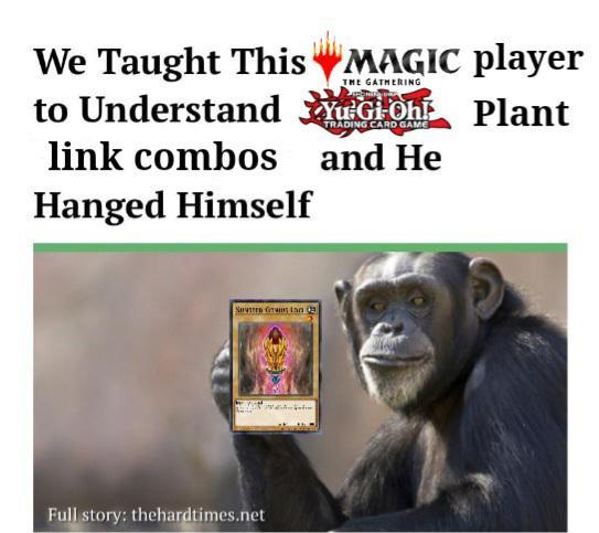 We Taught This to Understand link combos Hanged Himself MAGIC player THE GATHERING YuGiOh TRADING CARD GAME and He Plant Servera Gown lan Full story: thehardtimes.net