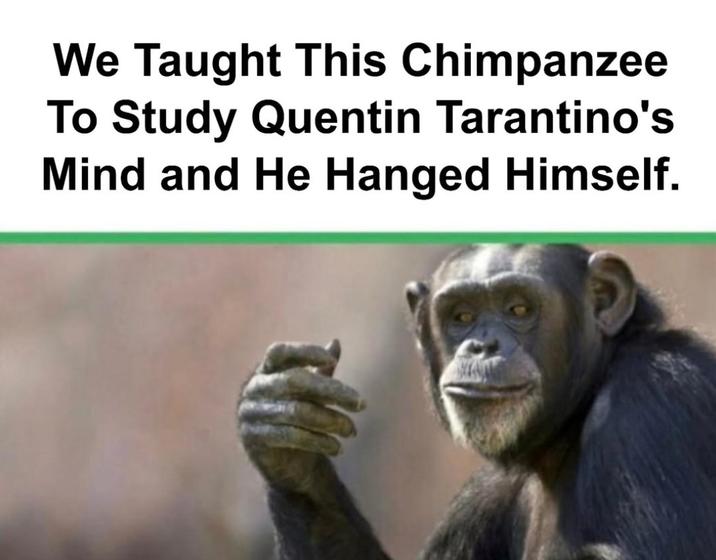 We Taught This Chimpanzee To Study Quentin Tarantino's Mind and He Hanged Himself.
