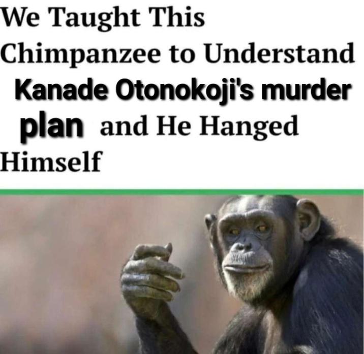 We Taught This Chimpanzee to Understand Kanade Otonokoji's murder plan and He Hanged Himself