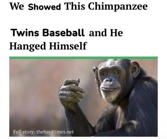 We Showed This Chimpanzee Twins Baseball and He Hanged Himself Full story: thehardtimes.net
