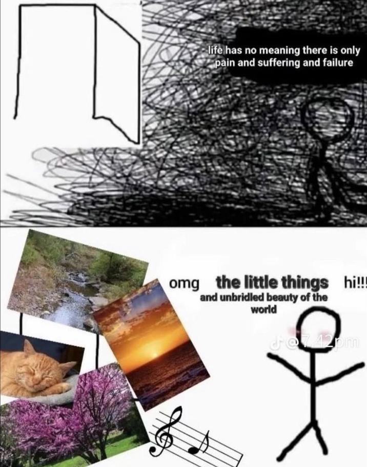 life has no meaning there is only pain and suffering and failure omg the little things hi!!! and unbridled beauty of the world Jet 42pm