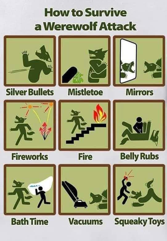 How to Survive a Werewolf Attack 禁 Silver Bullets Mistletoe Mirrors Fireworks Fire Belly Rubs 意 Bath Time Vacuums Squeaky Toys