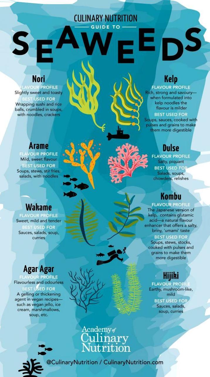 CULINARY NUTRITION SEAWEEDS Nori FLAVOUR PROFILE Slightly sweet and toasty BEST USED FOR Wrapping sushi and rice crumbled in soups, with noodles, crackers Arame FLAVOUR PROFILE Mild, sweet flavour. BEST USED FOR Soups, stews, stir fries, salads, with noodles Wakame FLAVOUR PROFILE Sweet, mild and tender BEST USED FOR Sauces, salads, soup, curries Kelp FLAVOUR PROFILE Rich, strong and savoury- when formulated into kelp noodles the flavour is milder BEST USED FOR Soups, sauces, cooked with pulses and grains to make them more digestible Dulse FLAVOUR PROFILE Salty, piquant BEST USED FOR Salads, soups, chowders, relishes Kombu FLAVOUR PROFILE The Japanese version of kelp, contains glutamic acid-a natural flavour enhancer that offers a salty, briny, 'umami' taste BEST USED FOR Soups, stews, stocks, cooked with pulses and grains to make them more digestible Agar Agar FLAVOUR PROFILE Flavourless and odourless BEST USED FOR A gelling or thickening agent in vegan recipes- such as vegan jello, ice cream, marshmallows, soup, etc. Hijiki FLAVOUR PROFILE Earthy, mushroom-like, mild BEST USED FOR Sauces, salads, soup, curries Academy of Culinary Nutrition @CulinaryNutrition / Culinary Nutrition.com