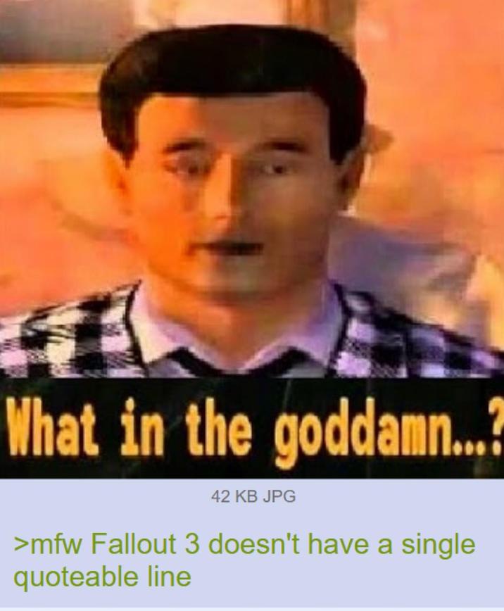 What in the goddamn...? 42 KB JPG >mfw Fallout 3 doesn't have a single quoteable line
