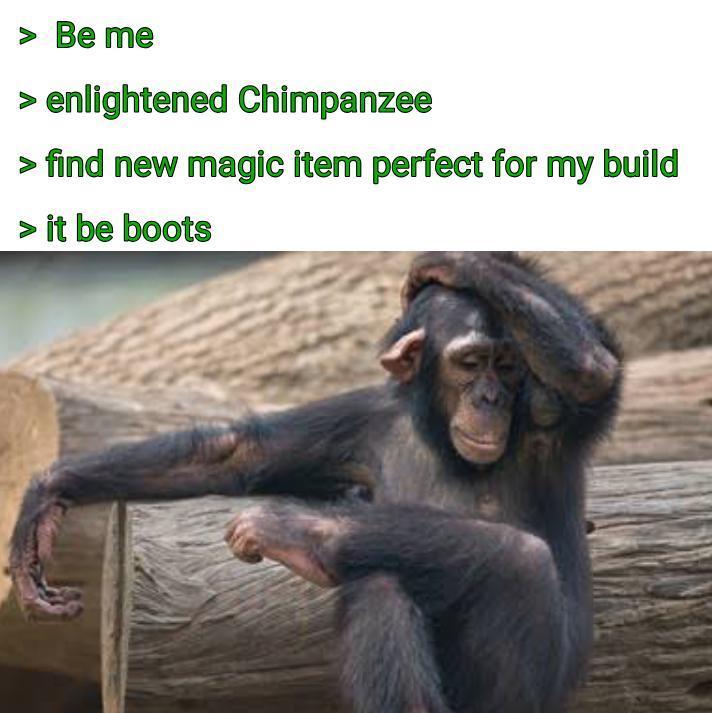 > Be me > enlightened Chimpanzee > find new magic item perfect for my build > it be boots