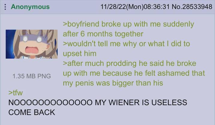 Anonymous 1.35 MB PNG >tfw 11/28/22(Mon)08:36:31 No.28533948 >boyfriend broke up with me suddenly after 6 months together >wouldn't tell me why or what I did to upset him >after much prodding he said he broke up with me because he felt ashamed that my penis was bigger than his NOOOOOOOOOOOOO MY WIENER IS USELESS COME BACK