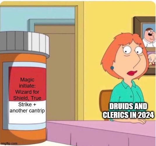 Magic initiate: Wizard for Shield, True Strike + another cantrip DRUIDS AND CLERICS IN 2024 imgflip.com
