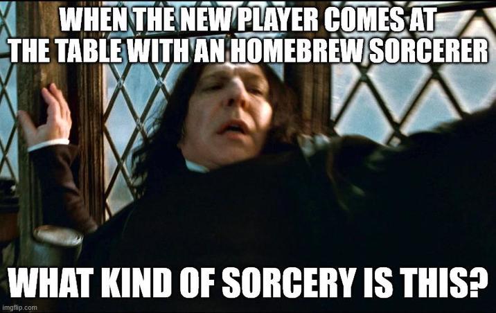 WHEN THE NEW PLAYER COMES AT THE TABLE WITH AN HOMEBREW SORCERER WHAT KIND OF SORCERY IS THIS? imgflip.com