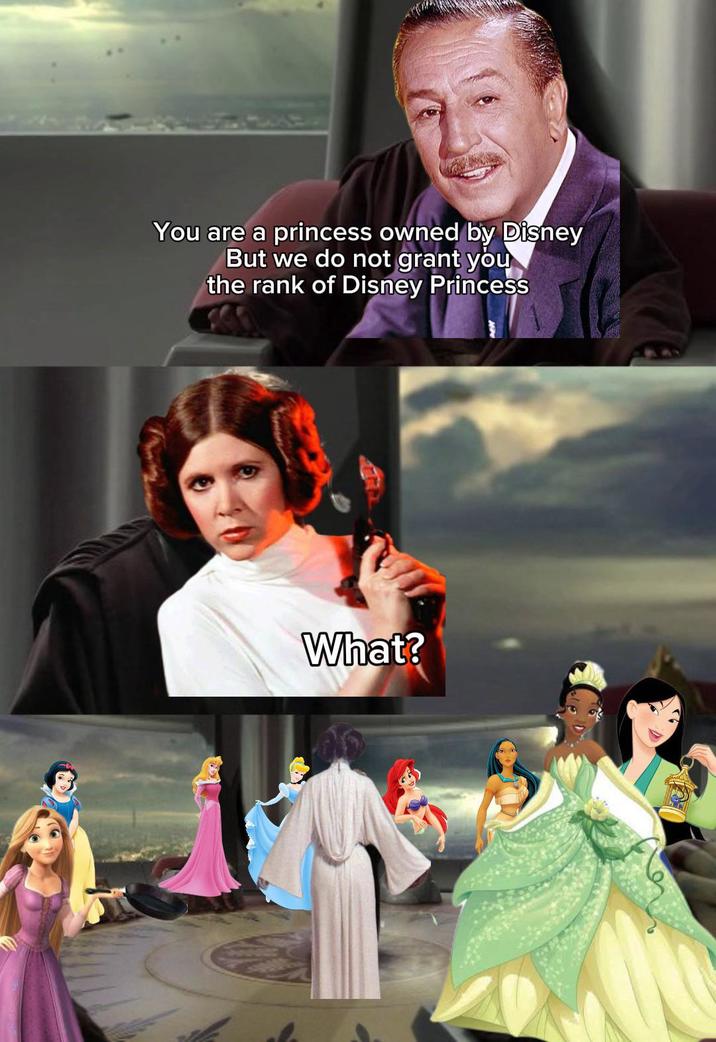 You are a princess owned by Disney But we do not grant you the rank of Disney Princess What?