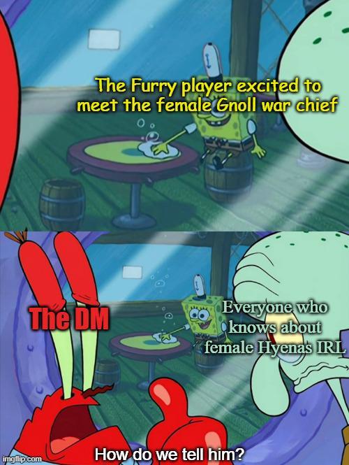 The Furry player excited to meet the female Gnoll war chief The DM imgflip.com Everyone who knows about female Hyenas IRL How do we tell him?