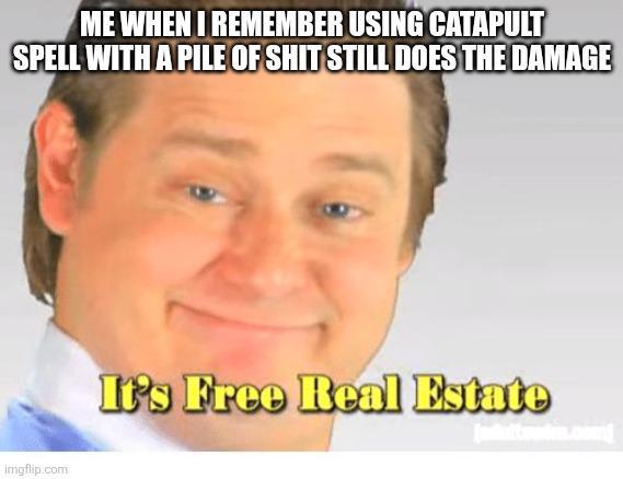 ME WHEN I REMEMBER USING CATAPULT SPELL WITH A PILE OF S--- STILL DOES THE DAMAGE imgflip.com It's Free Real Estate