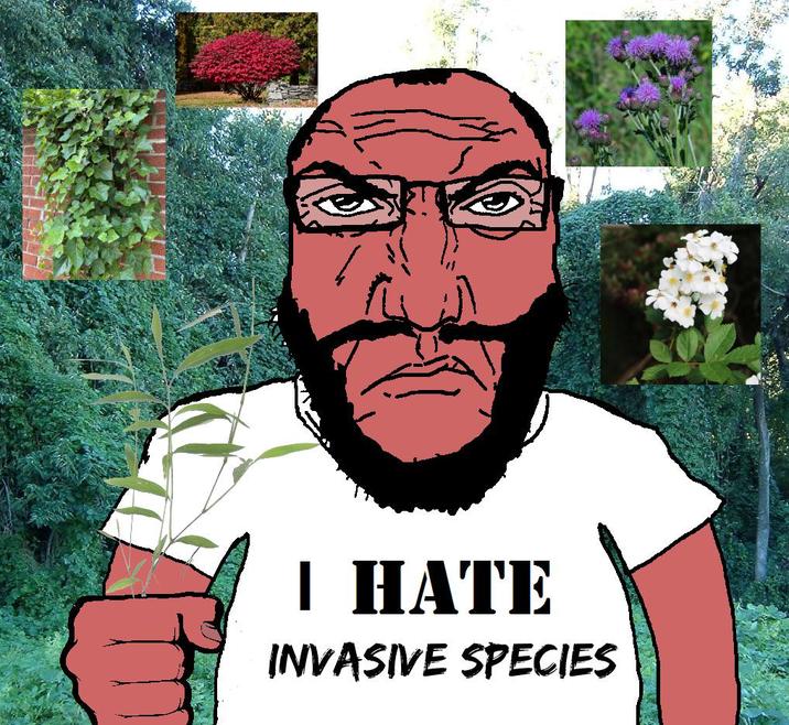 I HATE INVASIVE SPECIES