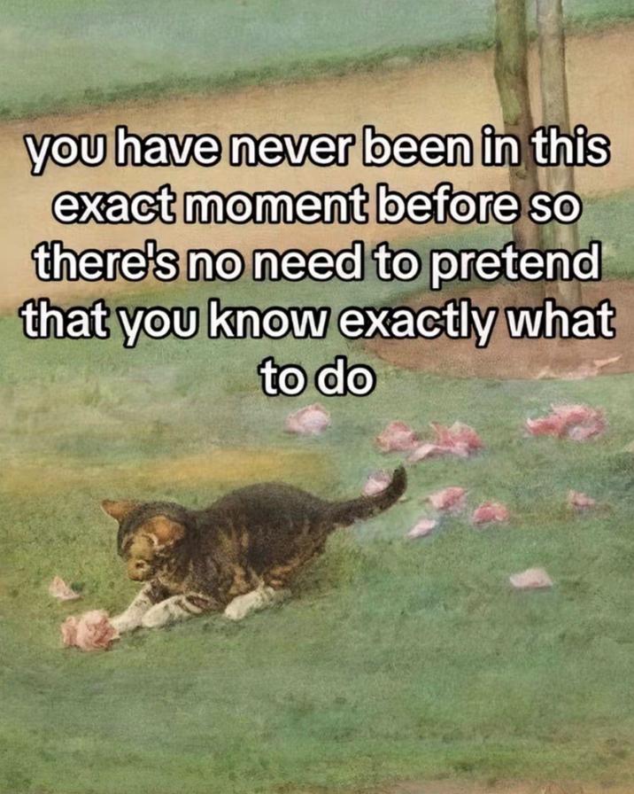 you have never been in this exact moment before so there's no need to pretend that you know exactly what to do