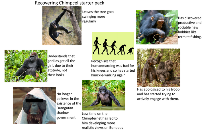 Recovering Chimpcel starter pack Leaves the tree goes swinging more regularly Has discovered productive and sociable new hobbies like termite fishing. Understands that gorillas get all the girls due to their attitude, not their looks Recognises that humanmaxxing was bad for his knees and so has started knuckle-walking again No longer believes in the existence of the Orangutan shadow government Less time on the Chimpternet has led to him developing more realistic views on Bonobos Has apologised to his troop and has started trying to actively engage with them.