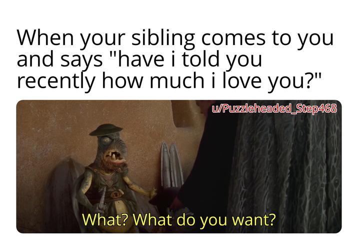 When your sibling comes to you and says "have i told you recently how much i love you?" u/Puzzleheaded_Step468 What? What do you want?