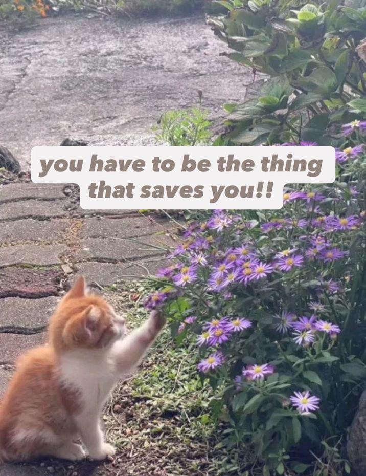 you have to be the thing that saves you!!