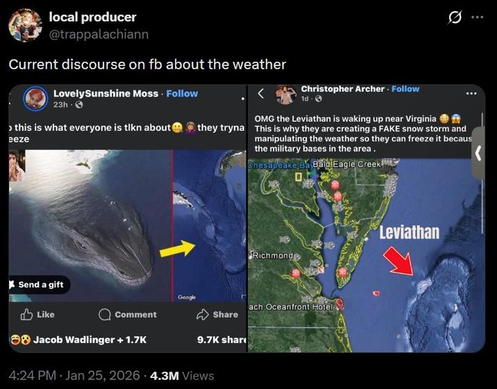 A post calling out Facebook discourse about a leviathan.