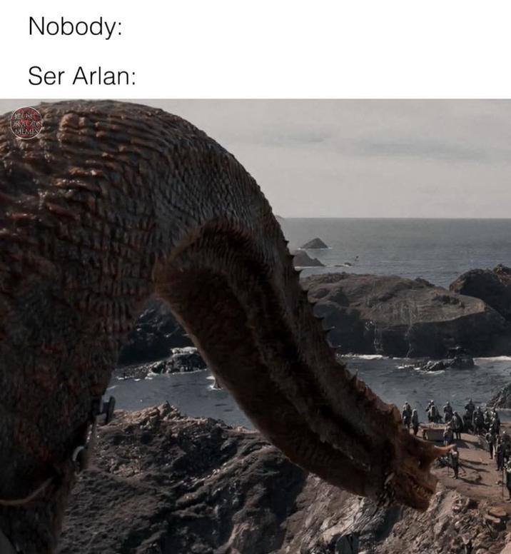Nobody: Ser Arlan: HOUSE DRAGON MEMES The
