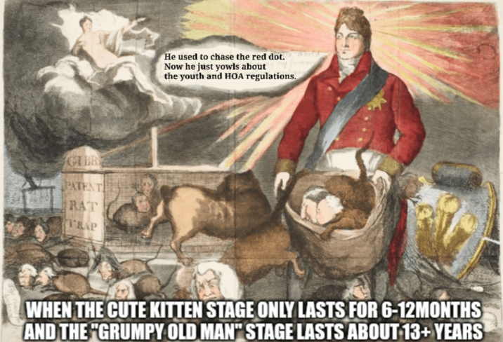 GIBR PATENT RAT TRAP He used to chase the red dot. World Now he just yowls about the youth and HOA regulations. WHEN THE CUTE KITTEN STAGE ONLY LASTS FOR 6-12MONTHS AND THE "GRUMPY OLD MAN" STAGE LASTS ABOUT 13+ YEARS