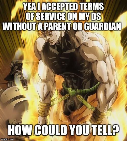 YEAI ACCEPTED TERMS OF SERVICE ON MY DS WITHOUT A PARENT OR GUARDIAN HOW COULD YOU TELL? imgflip.com